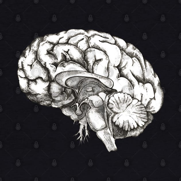 Brain, human anatomy, mind, Mental Health Matters by Collagedream